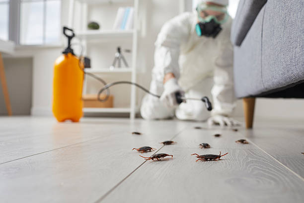 Commercial Kitchen Cockroach Control in Aromas